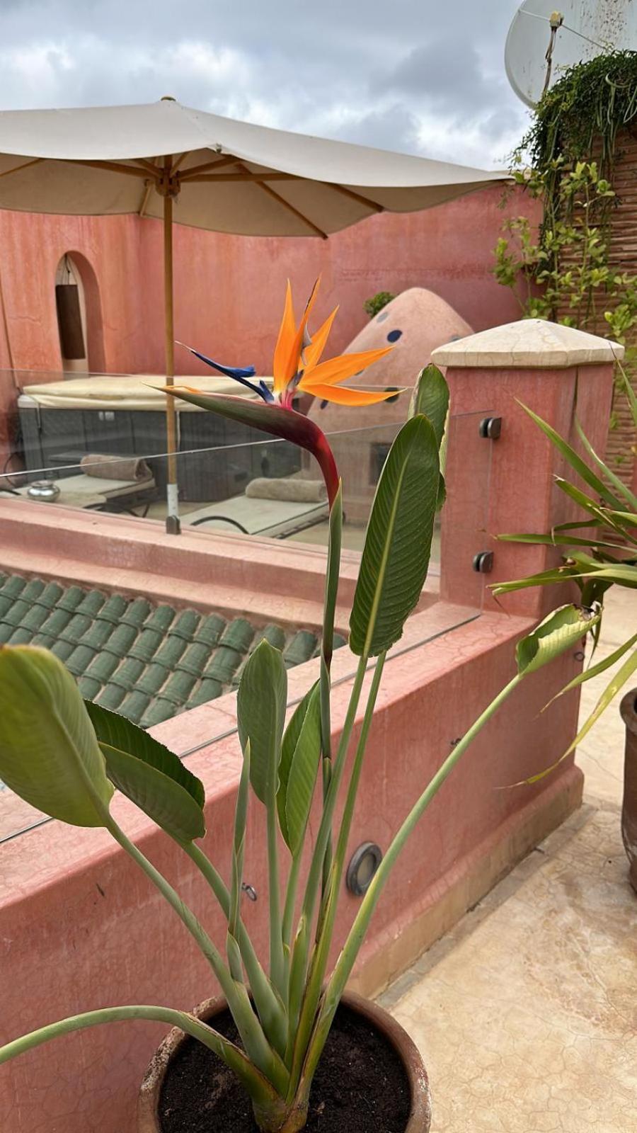 Riad Dar Ten Marrakesh Exterior photo